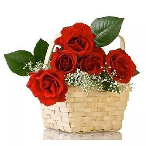 Meet your Posher, Ragini